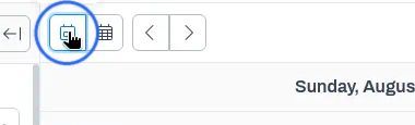 Today control with tooltip and date navigation